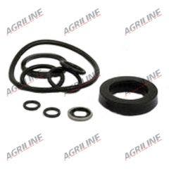 Cylinder Ram Seal Kit suitable for Massey Ferguson -  1810437M91