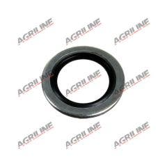 Dowty Washer 3/8" BSP