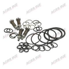 Valve & O'Ring Kit (Repairs two Valve Chambers)