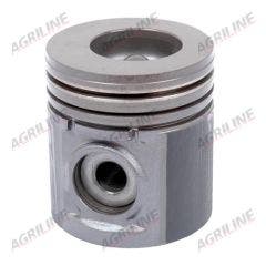 Piston, Pin & Clips