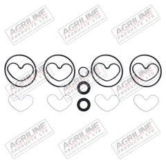 Hydraulc Pump Seal Kit - Sunstrand / Turolla Pump
