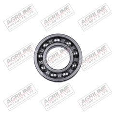 Input Shaft Bearing 81800755