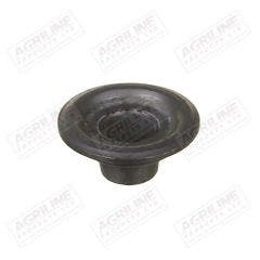 Valve Cap