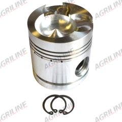 Piston, Pin & Clips