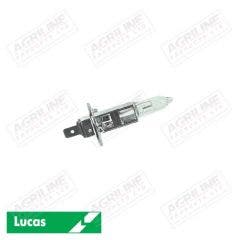 Bulb 12V 55W H1 P14.5S- Single