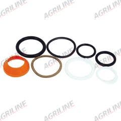 Ram Seal Kit