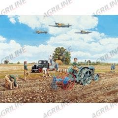 Greeting Card - Dig for Victory